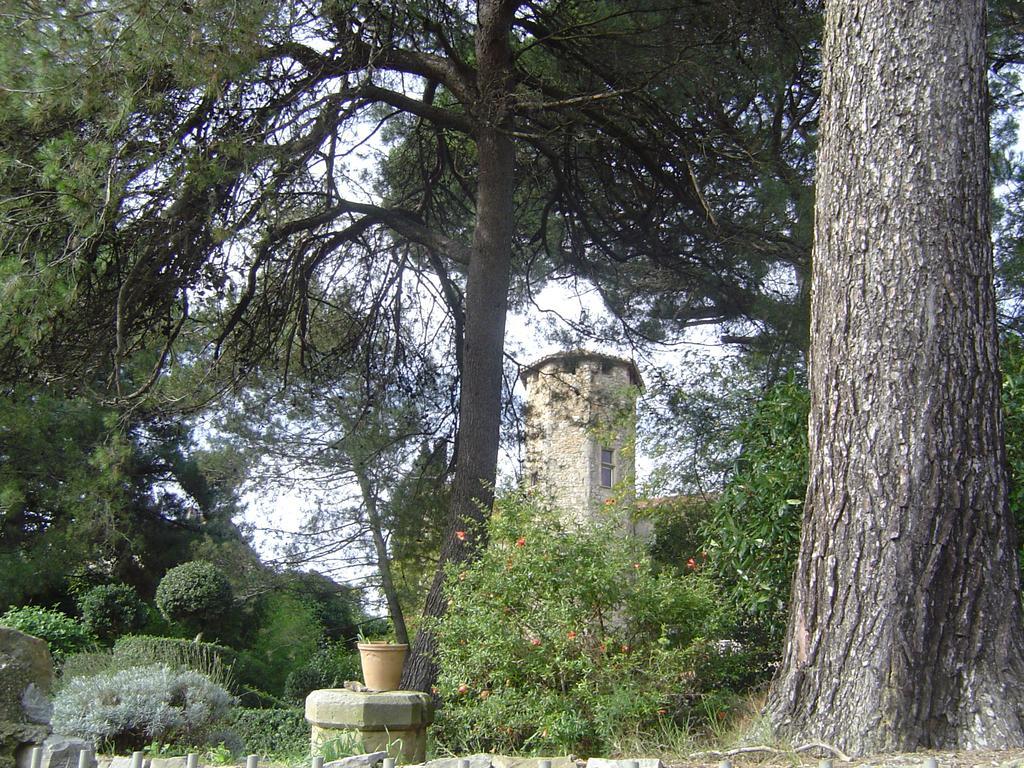 Chateau D'Agel Chambres D'Hotes Kültér fotó