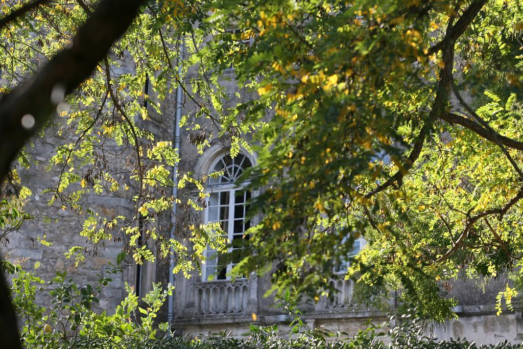 Chateau D'Agel Chambres D'Hotes Kültér fotó